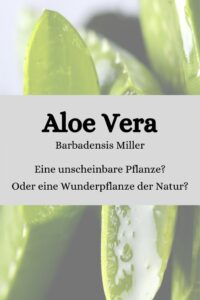 Aloe Vera