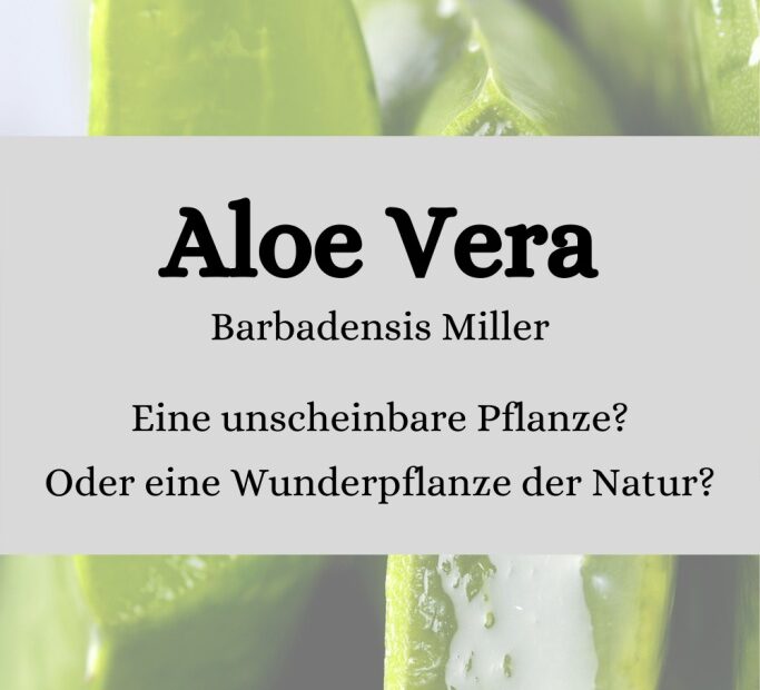 Aloe Vera